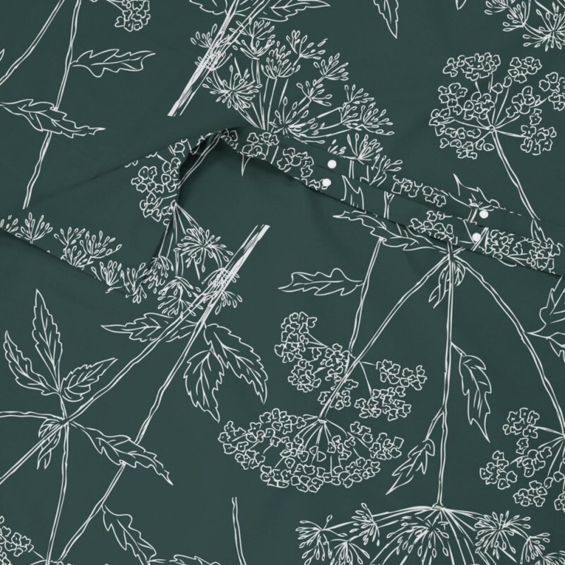 Duetto nórdico Brezza Oliva - 2