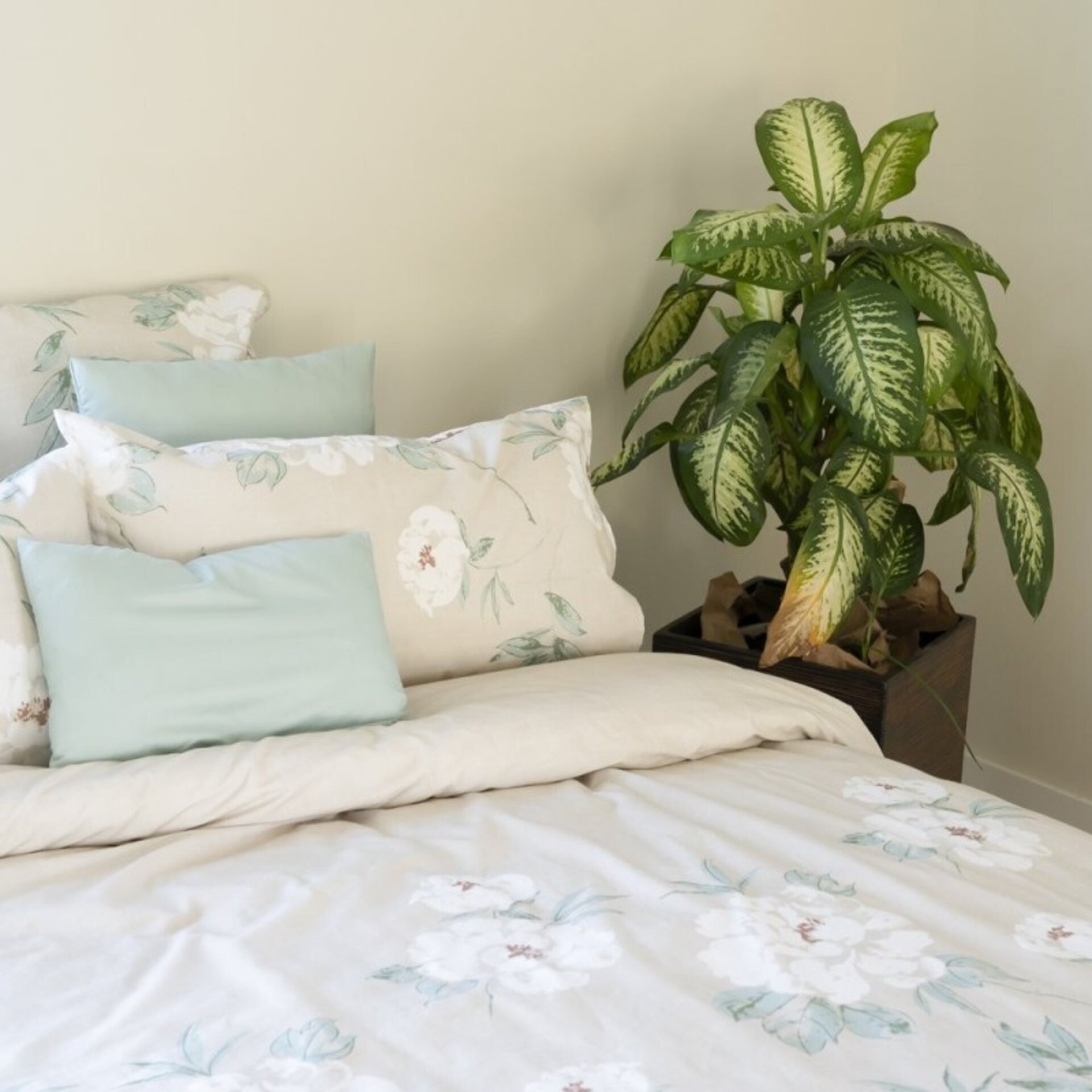 Duetto nórdico Fior Arena - 3